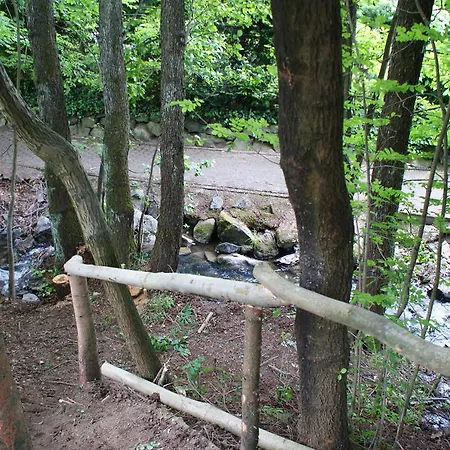 Apartamento Haus Kloosterman Winterberg