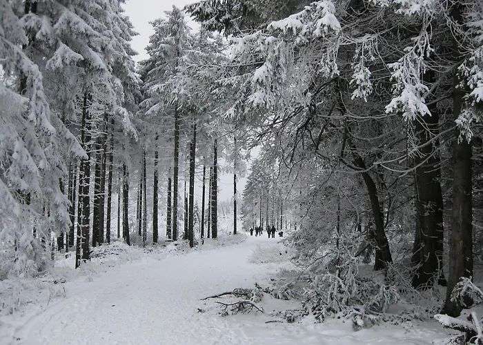 Apartmán Haus Kloosterman