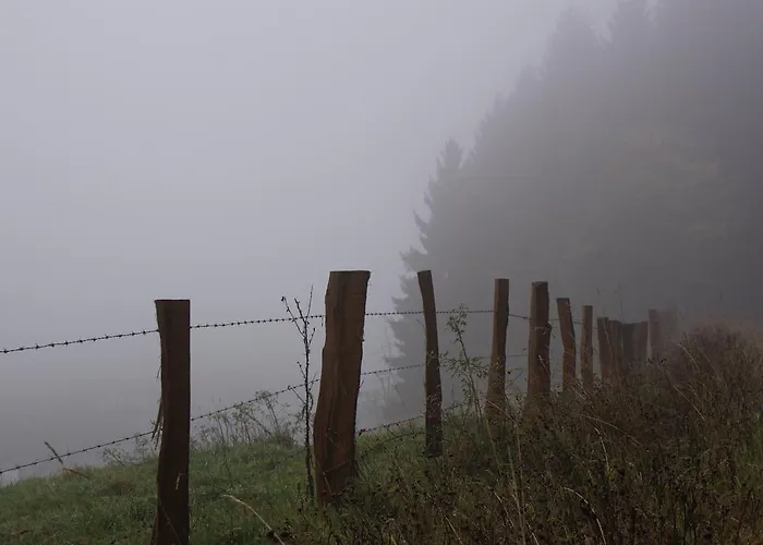 Haus Kloosterman Winterberg
