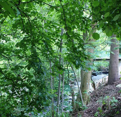 Apartment Haus Kloosterman Winterberg